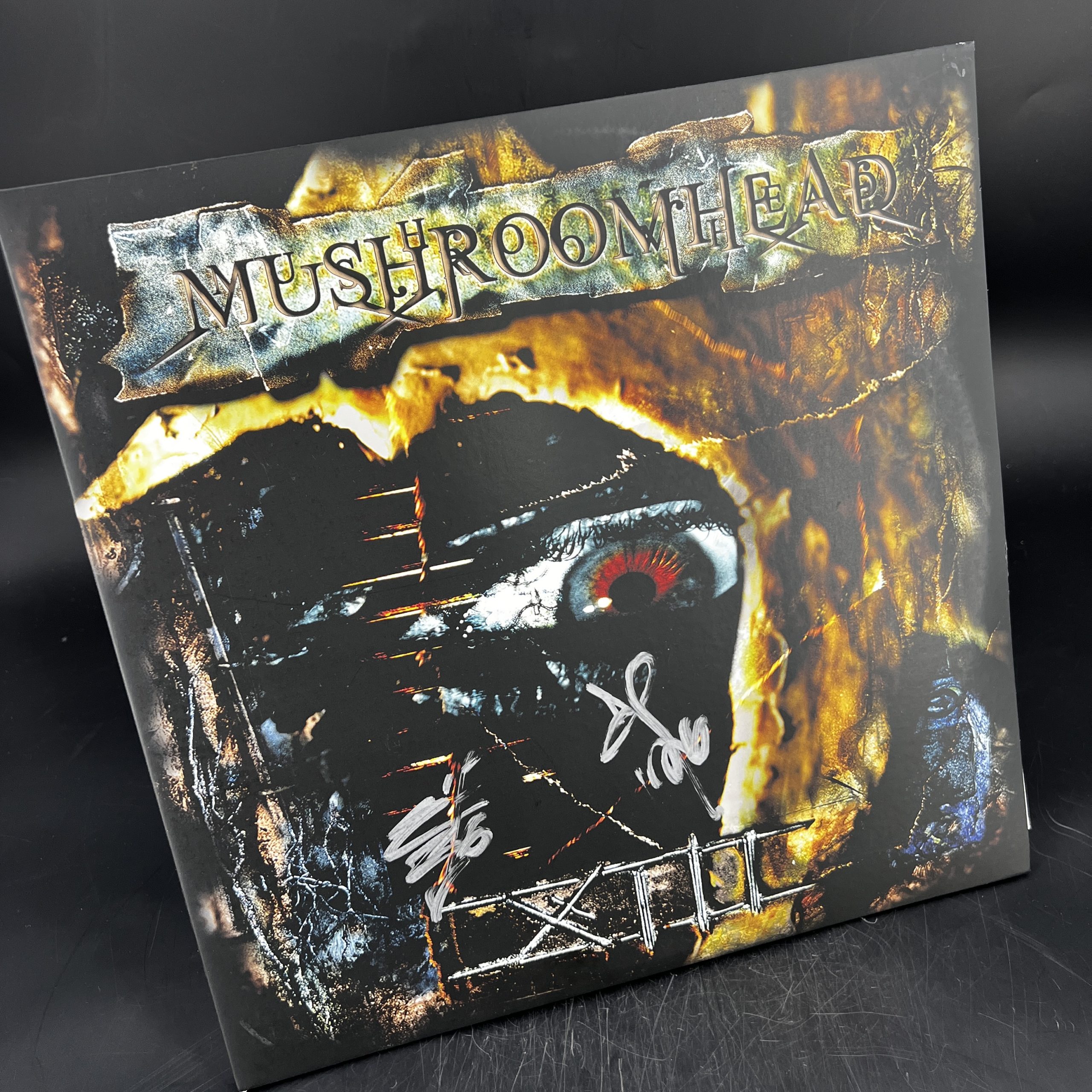 mushroomhead xiii